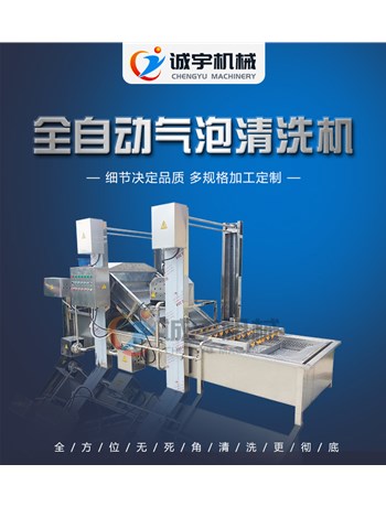 誠(chéng)宇蔬菜清洗機(jī)，果蔬氣泡清洗機(jī)